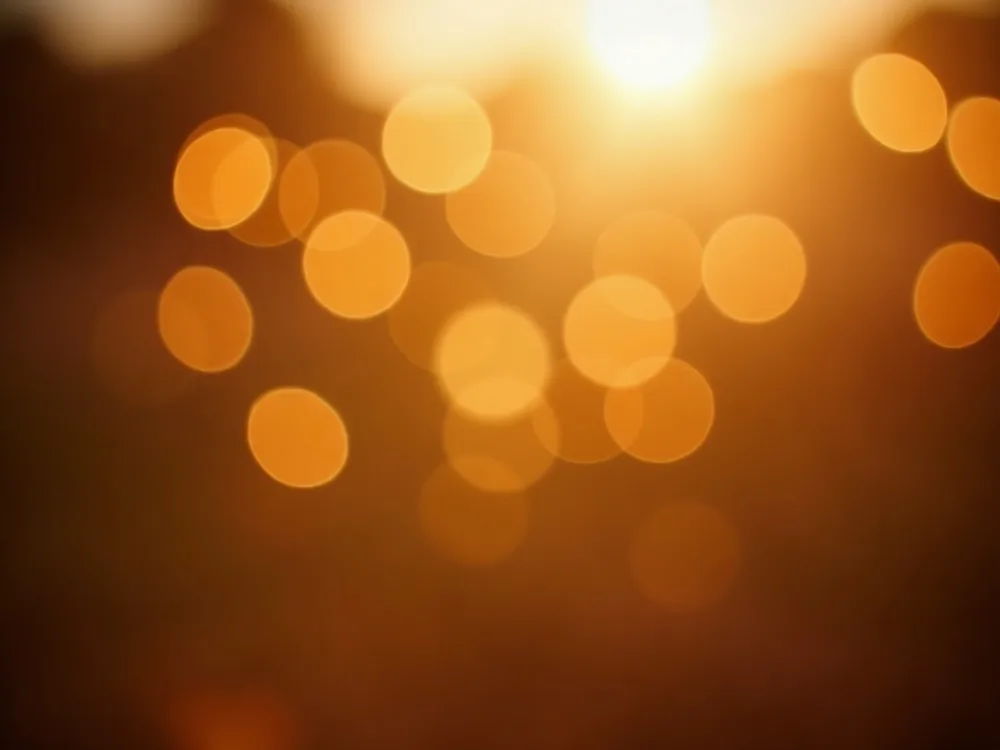 Warmes Bokeh in der goldenen Stunde